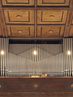 Bildschirmfoto 2026-01-19 um 11.46.27